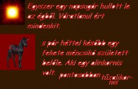 /album/szilaj-es-szelid/csoda-lo-jpg/